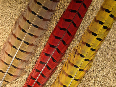 nature's spirit pheasant tail center pair fly tying