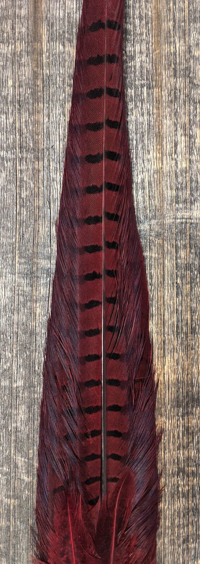 Nature's Sprit Ringneck Pheasant Tail Clump Red Saddle Hackle, Hen Hackle, Asst. Feathers