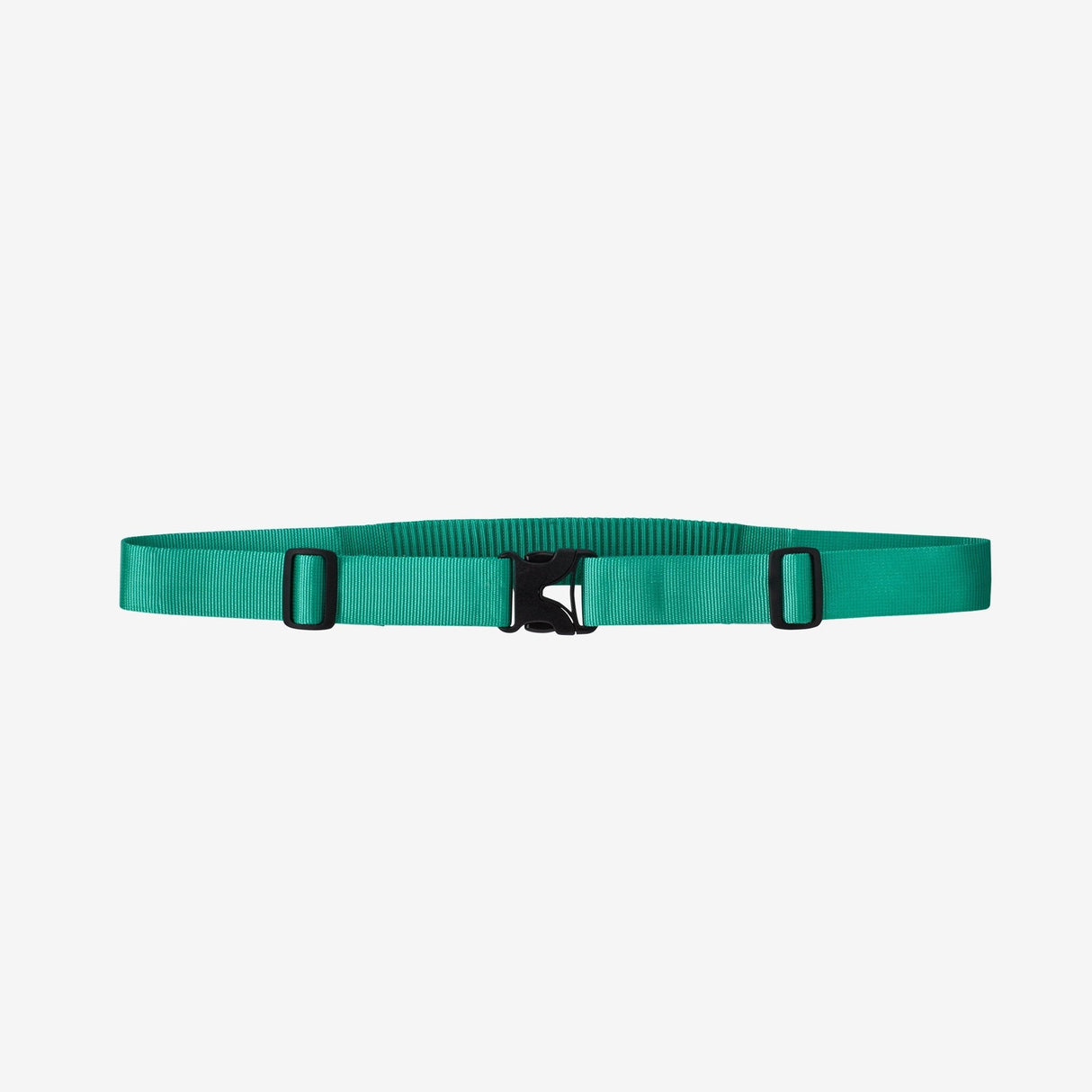 Patagonia Secure Stretch Wading Belt Fresh Teal / L Hats, Gloves, Socks, Belts