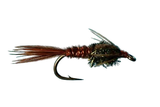Pheasant Tail Nymph Trout Flies