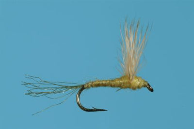 PMD Sparkle Dun Dry Fly Trout Fishing