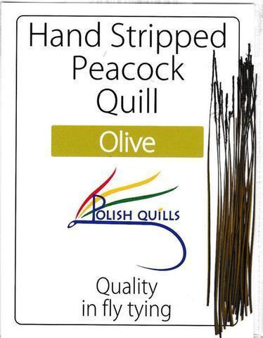 Polish Quills stripped peacock quills fly tying quill body olive