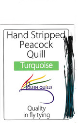 Polish Quills stripped peacock quills fly tying quill body turquoise