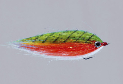 Rainy's CF Baitfish Brookie / 2 Flies