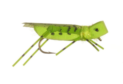 Rainy's Grand Hopper Chartreuse / 16 Flies