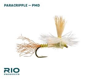 Rio PMD Dry Assortment Flies