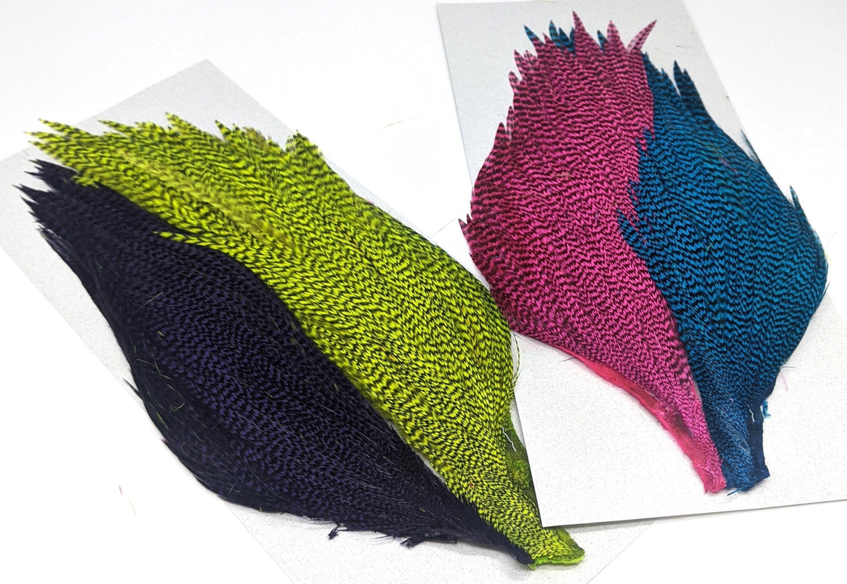 Salmon Steelhead Dyed Grizzly Starter Cape Set 4 colors Saddle Hackle, Hen Hackle, Asst. Feathers