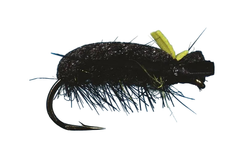 Sneaky Pete Beetle 12 Flies