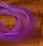 Hareline Dubbin stripped goose biot purple