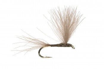 The Student Olive Dry Fly Pattern