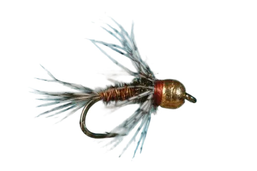 Tungsten Soft Hackle Pheasant Tail Nymph