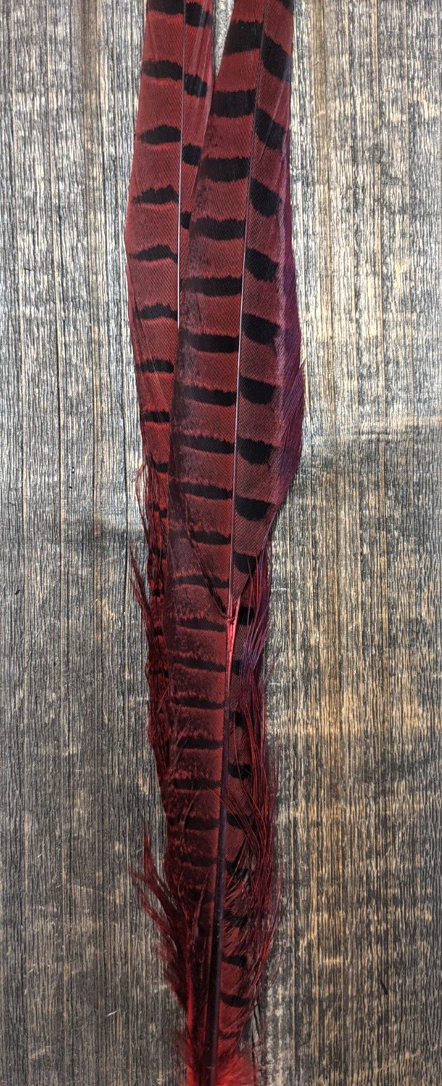 UV2 Ringneck Pheasant Tail Saddle Hackle, Hen Hackle, Asst. Feathers