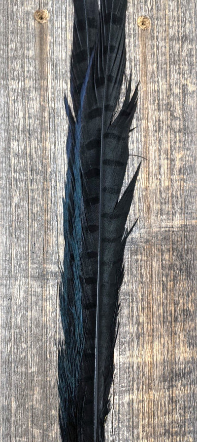 UV2 Ringneck Pheasant Tail Black #001 Saddle Hackle, Hen Hackle, Asst. Feathers