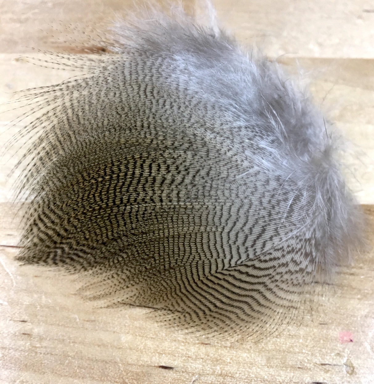 Wapsi Lemon Barred Wood Duck feathers fly tying