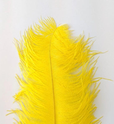 Wapsi Ostrich Plumes Yellow Saddle Hackle, Hen Hackle, Asst. Feathers