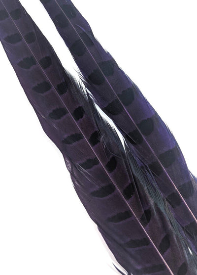 Wapsi Ringneck Pheasant Tail Feathers - 1 pair Purple Saddle Hackle, Hen Hackle, Asst. Feathers