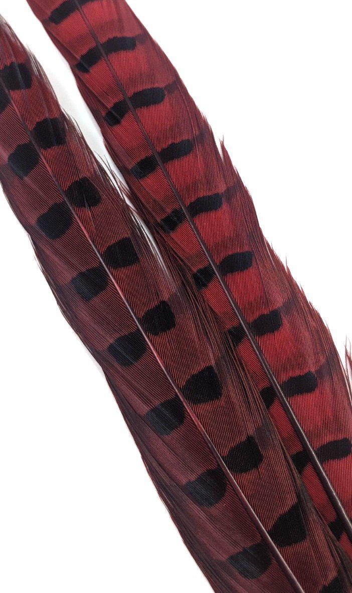 Wapsi Ringneck Pheasant Tail Feathers - 1 pair Red Saddle Hackle, Hen Hackle, Asst. Feathers