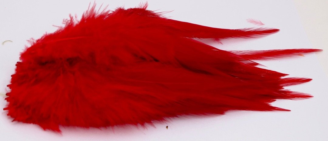 Wapsi Strung Schlappen Red