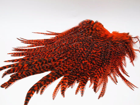 Whiting American Rooster Saddle Grizzly Orange