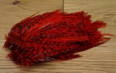 Whiting American Streamer Pack Grizzly Red Saddle Hackle, Hen Hackle, Asst. Feathers