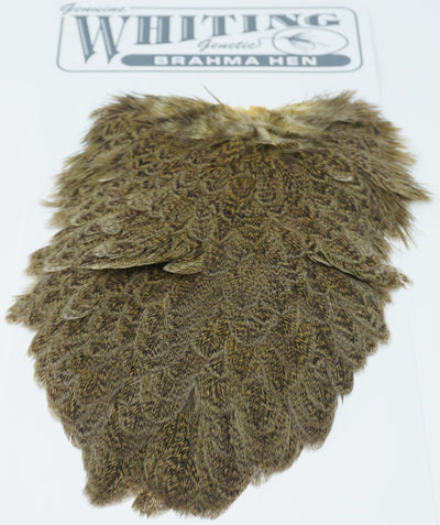 Whiting Brahma Hen Saddle Pale Yellow Saddle Hackle, Hen Hackle, Asst. Feathers