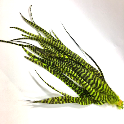 Whiting Schlappen Pack 6-10" Bundle Grizzly/FL Green Chartreuse Saddle Hackle, Hen Hackle, Asst. Feathers