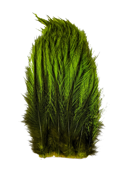 Whiting Tailing Pack Dyed Pardo Fl. Green Chartreuse Saddle Hackle, Hen Hackle, Asst. Feathers
