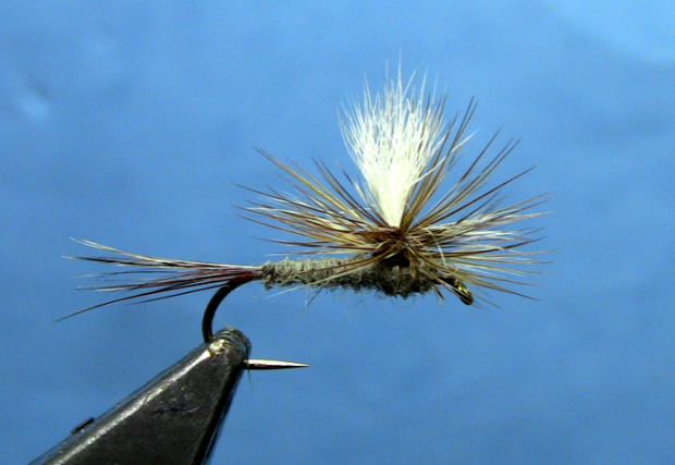 Parachute Adams Fly Tying Video 