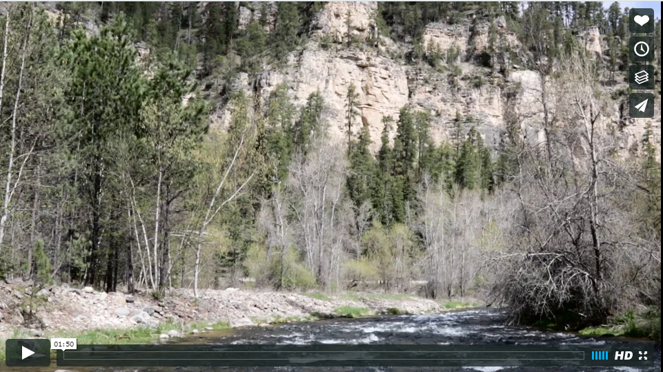 New Video - Spearfish Canyon!