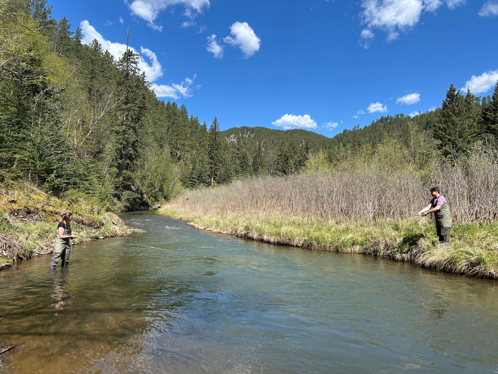 Black Hills Fishing Report June 19th 2026