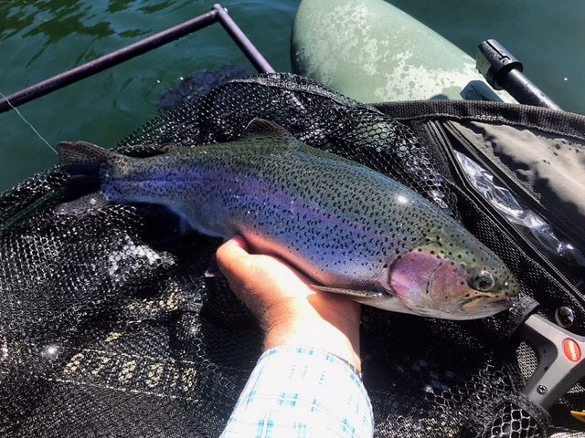 Black Hills Fishing Report October 4th 2024