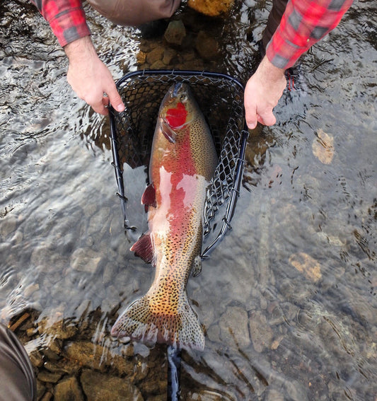 3 Tips For Fighting Big Trout