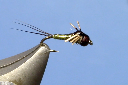 Black Ruby Baetis Nymph Fly Tying