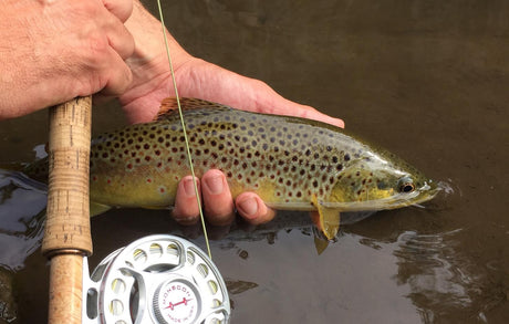 Black Hills Fishing Report - August 24th 2016