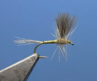 Fly Tying with Hans- CDC Thorax Dun