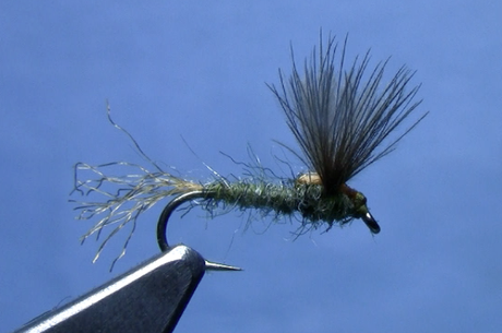 CDC split wing sparkle dun