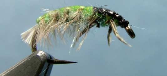 Hydropsyche Caddis larvae fly tying