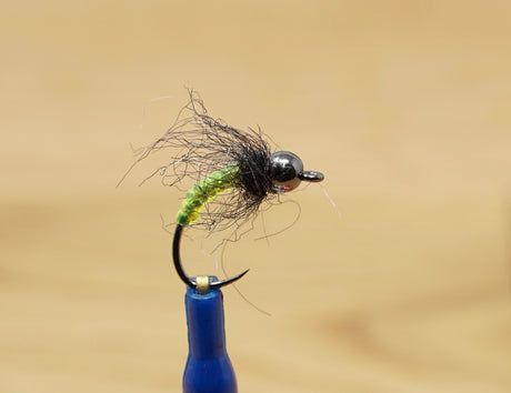 Body Glass Caddis