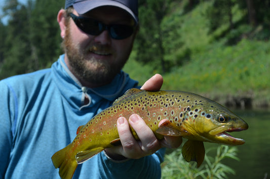 Black Hills Fishing Update!