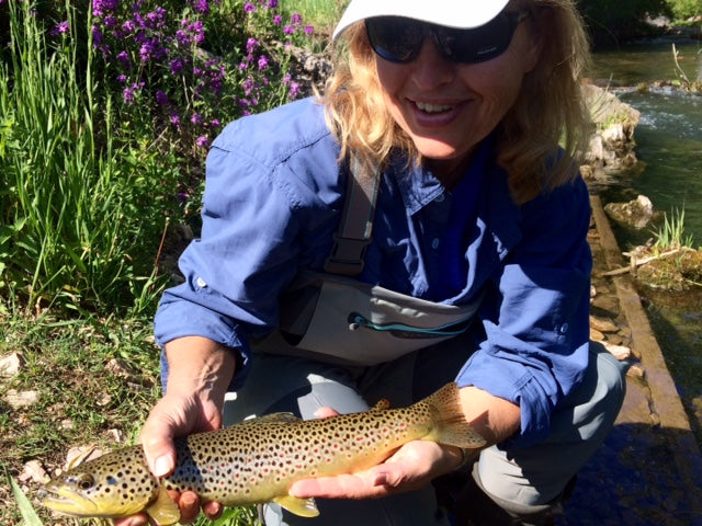 Black Hills Fly Fishing Trout