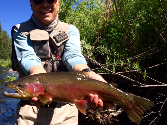 Weekend Fishing Forecast - 7/01/2016