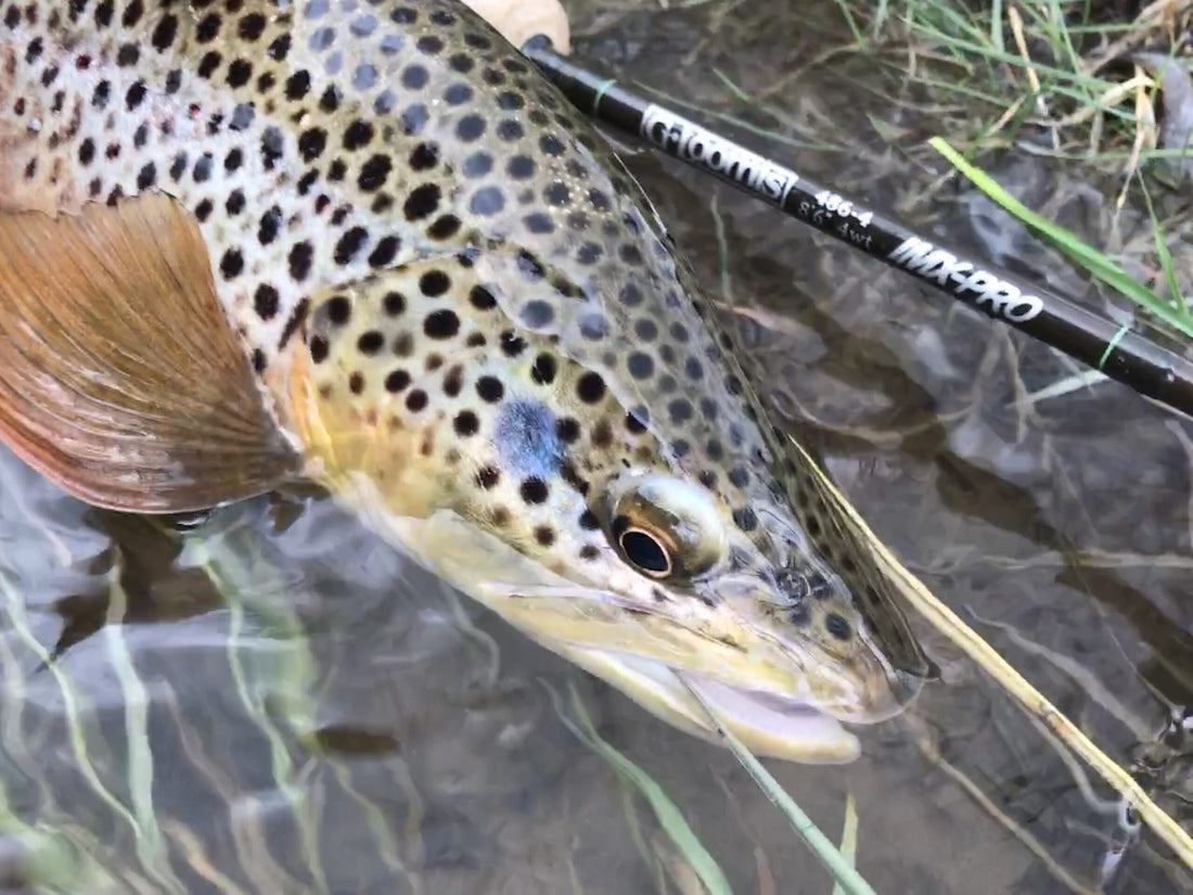 Black Hills Fishing Report - 5/11/2021