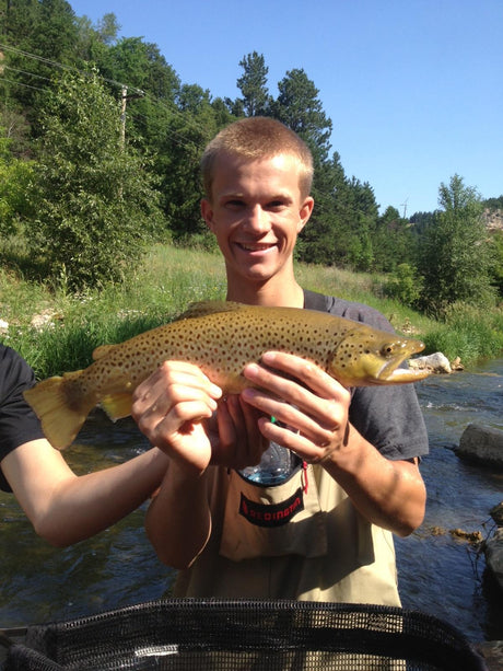 Black Hills Brown Trout