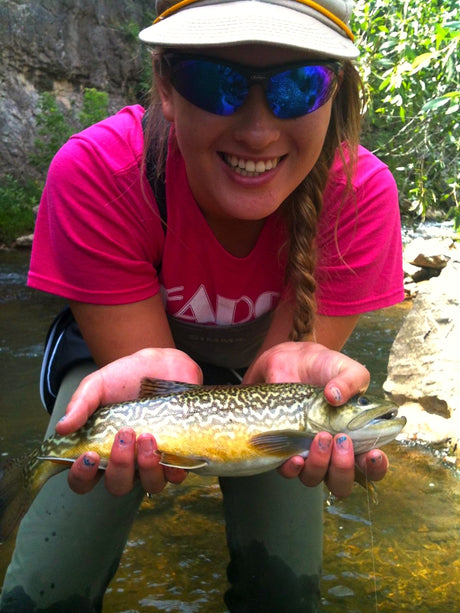 black hills tiger trout fishing