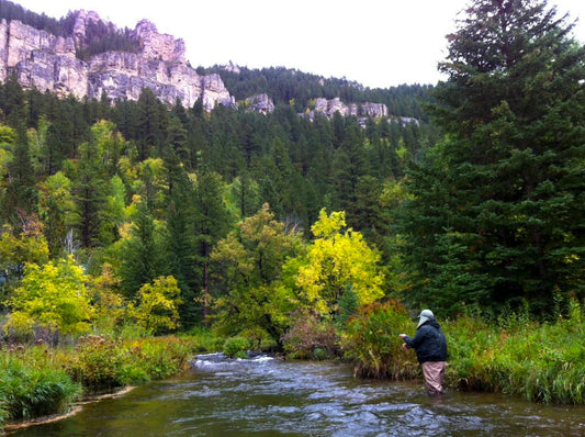 Spearfish Creek Black Hills Fly Fishing