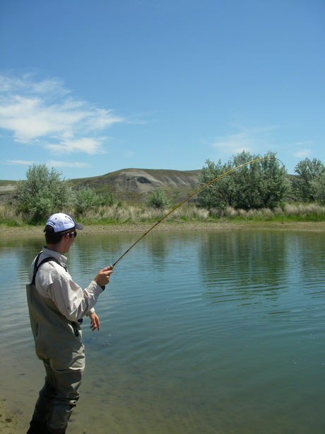 Fish of the Missouri River