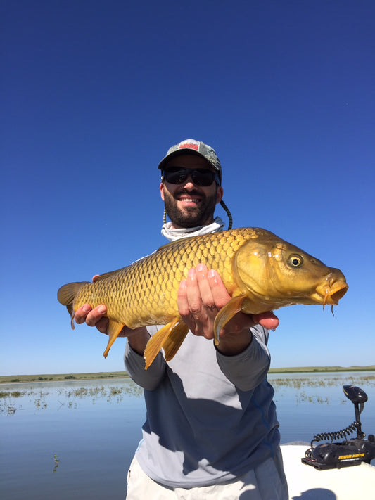 black hills fly fishing carp