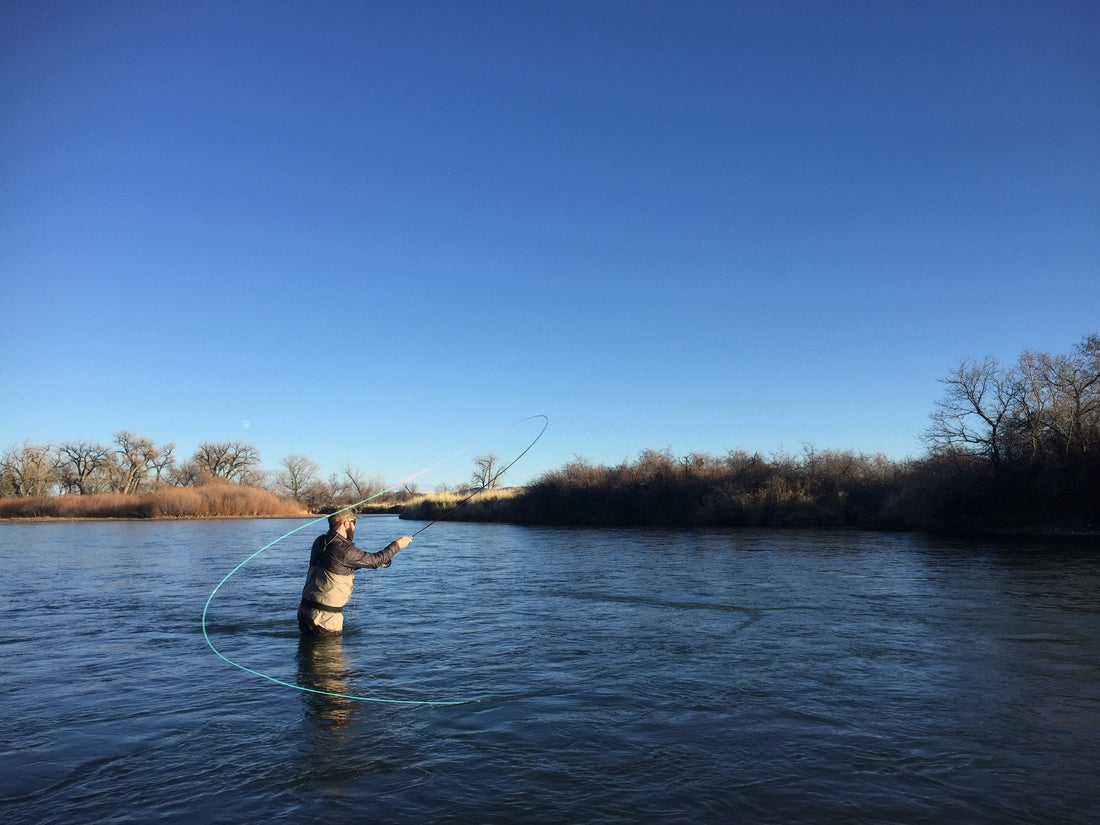 Bighorn River Trout Spey Trip 2017