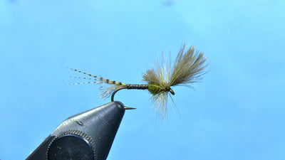Tying the Last Chance Cripple Baetis (Blue Winged Olive)