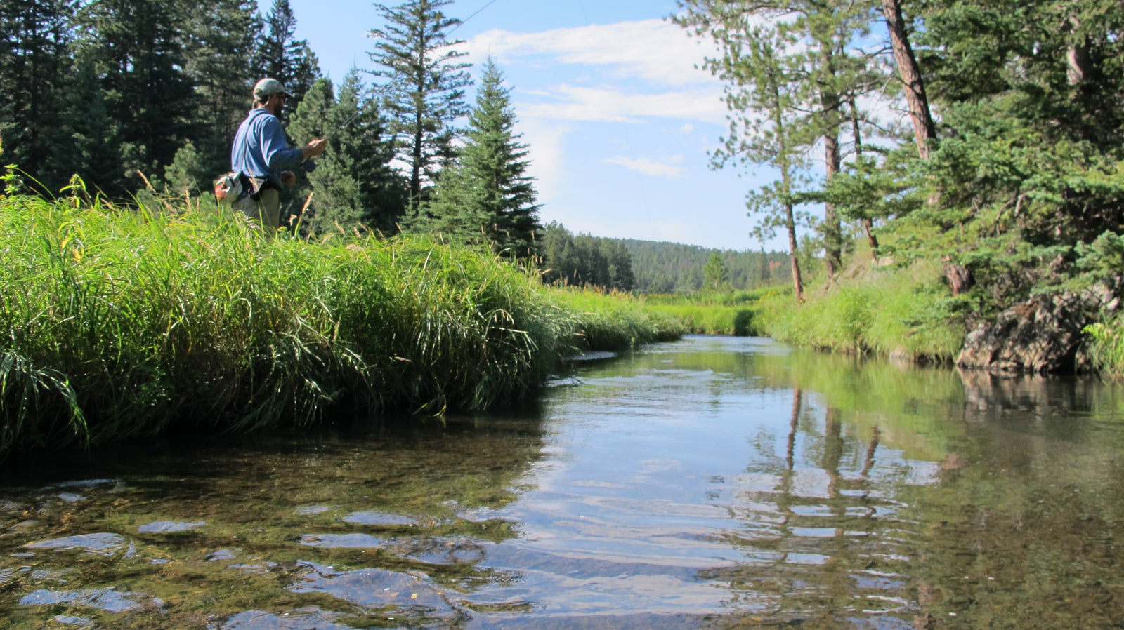 trout fishing black hills fishing flyfishing